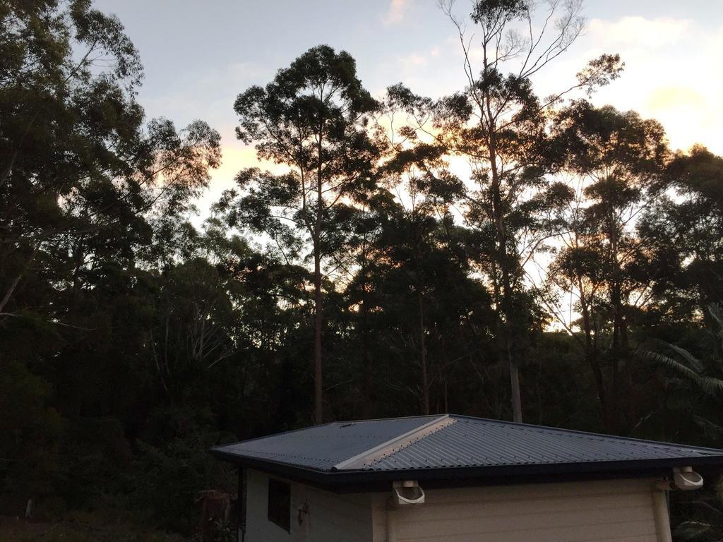 Mapleton Cabins&Caravan Park Buitenkant foto