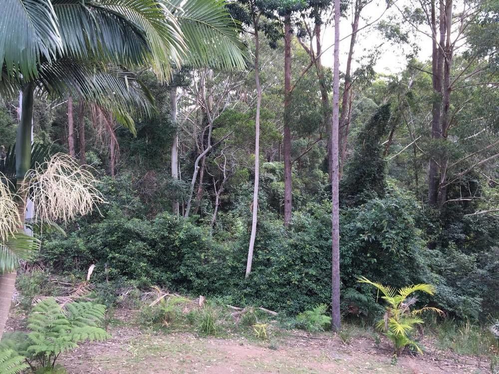 Mapleton Cabins&Caravan Park Buitenkant foto